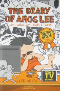 The Diary Of Amos Lee