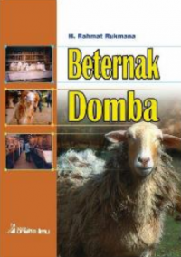 Beternak Domba