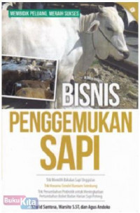 Bisnis Penggemukan Sapi