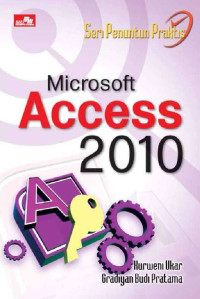 Image of Microsoft Access 2010
